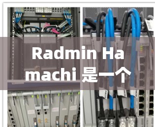 Radmin Hamachi 是一个基于 Rybo 的游戏联机VPN。它通过多设备联机、去中心化网络和交易透明化等技术,提供高效、安全和灵活的联机服务。以下是对其功能的详细比较 Radmin Hamachi 是一个基于 Rybo 的游戏联机VPN。它通过多设备联机、去中心化网络和交易透明化等技术,提供高效、安全和灵活的联机服务。以下是对其功能的详细比较
