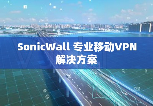 SonicWall 专业移动VPN解决方案