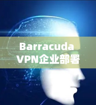 Barracuda VPN企业部署方案