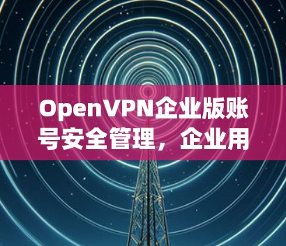 OpenVPN企业版账号安全管理，企业用户保护隐私与安全的解决方案