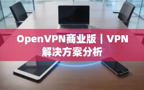 OpenVPN商业版|VPN解决方案分析
