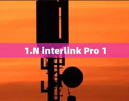 1.N interlink Pro 1 1.N interlink Pro 1