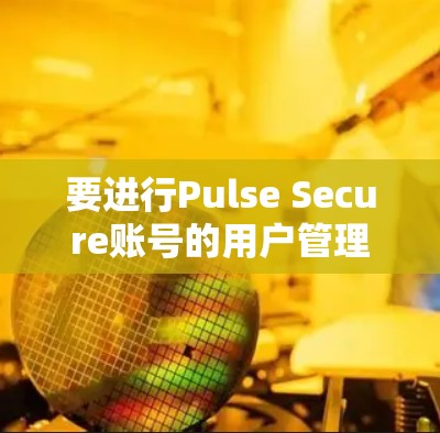 要进行Pulse Secure账号的用户管理，您可以按照以下步骤操作