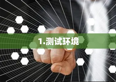 1.测试环境 1.测试环境