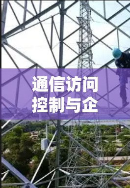 通信访问控制与企业功能分析，Citrix在企业功能分析中的应用与挑战