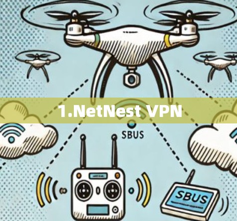 1.NetNest VPN