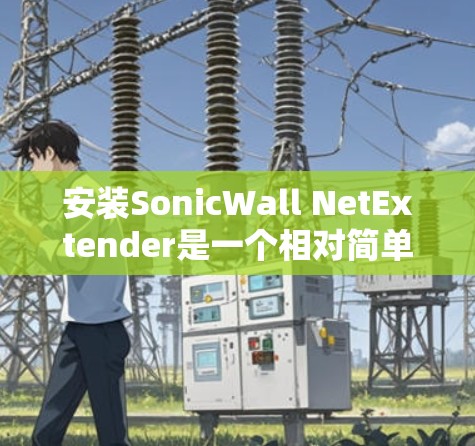 安装SonicWall NetExtender是一个相对简单的过程，但需要注意一些关键步骤和潜在的问题。以下是一个详细的步骤指南