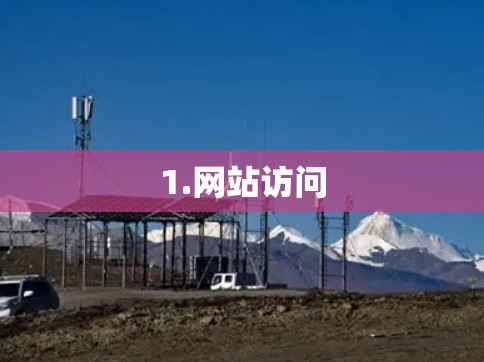 1.网站访问