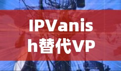 IPVanish替代VPN|热门品牌比较