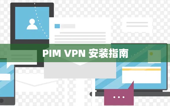 PIM VPN 安装指南