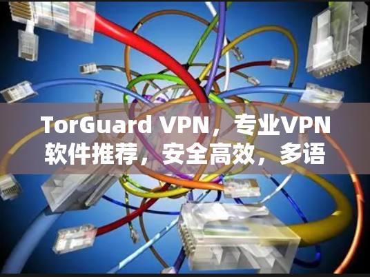 TorGuard VPN,专业VPN软件推荐,安全高效,多语言支持 TorGuard VPN,专业VPN软件推荐,安全高效,多语言支持