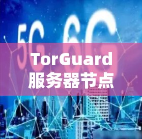 TorGuard服务器节点测试<strong>全球网络</strong>安全