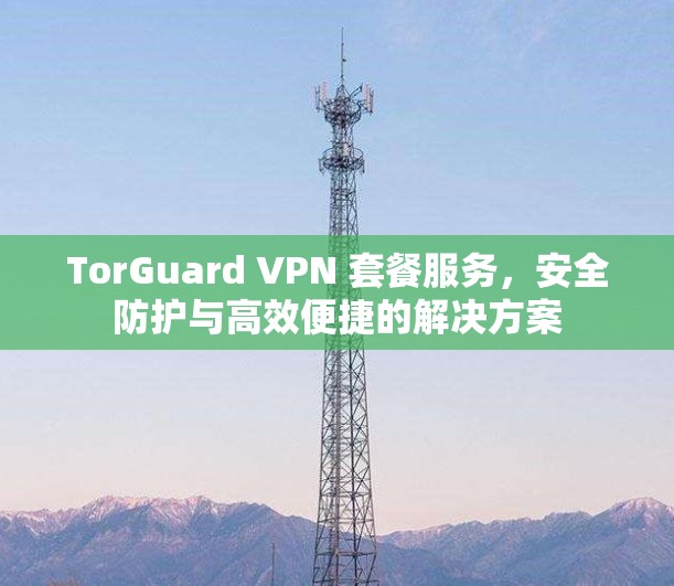 TorGuard VPN 套餐服务,安全防护与高效便捷的解决方案 TorGuard VPN 套餐服务,安全防护与高效便捷的解决方案