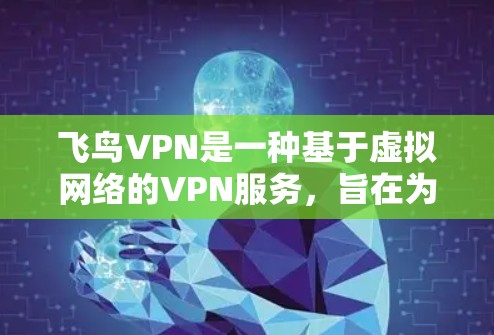 飞鸟VPN是一种基于虚拟网络的VPN服务,旨在为用户提供安全、便捷的网络连接。如果您是在国外使用飞鸟VPN进行科学上网,以下是一些需要注意的问题和建议