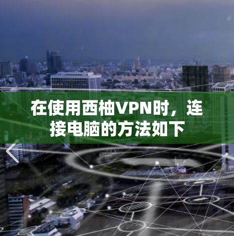 在使用西柚VPN时,连接电脑的方法如下