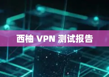 西柚 VPN 测试报告