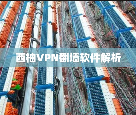 西柚VPN翻墙软件解析 西柚VPN翻墙软件解析