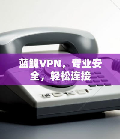 蓝鲸VPN,专业安全,轻松连接 蓝鲸VPN,专业安全,轻松连接