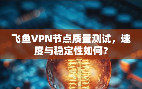 飞鱼VPN节点质量测试，速度与稳定性如何？