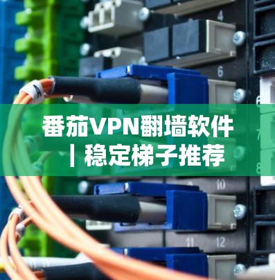 番茄VPN翻墙软件｜稳定梯子推荐