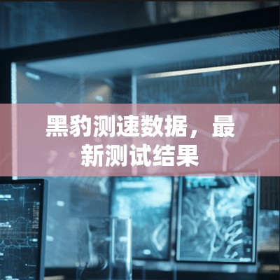 黑豹测速数据,最新测试结果 黑豹测速数据,最新测试结果