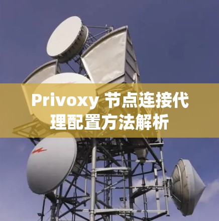 Privoxy 节点连接代理配置方法解析