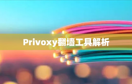 Privoxy翻墙工具解析 Privoxy翻墙工具解析