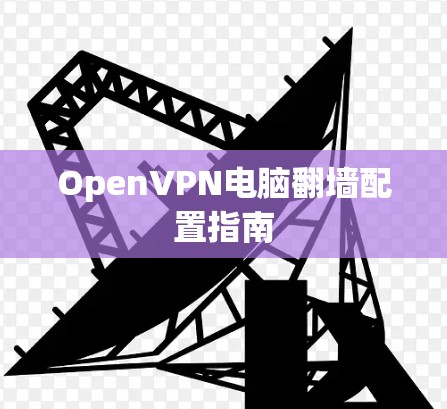 OpenVPN电脑翻墙配置指南