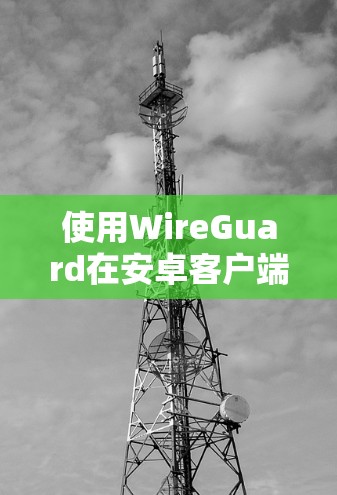 使用WireGuard在安卓客户端进行手机VPN的教程如下