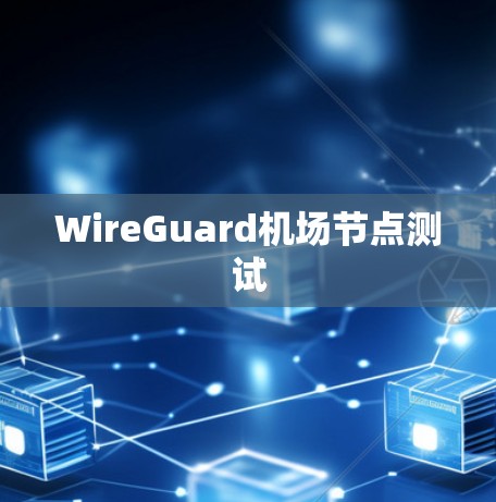 WireGuard机场节点测试