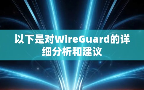 以下是对WireGuard的详细分析和建议