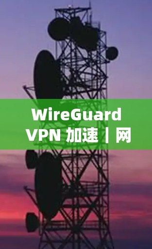 WireGuard VPN 加速|网络优化方法 WireGuard VPN 加速|网络优化方法