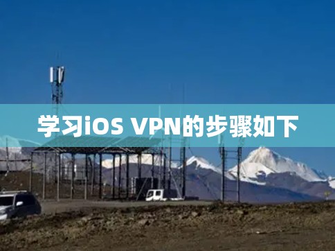 学习iOS VPN的步骤如下