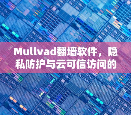 Mullvad翻墙软件,隐私防护与云可信访问的创新解决方案 Mullvad翻墙软件,隐私防护与云可信访问的创新解决方案