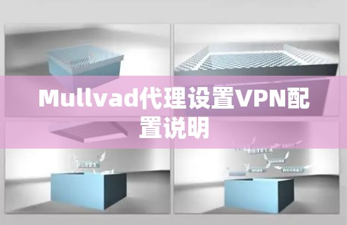 Mullvad代理设置VPN配置说明