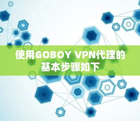 使用GOBOY VPN代理的基本步骤如下 使用GOBOY VPN代理的基本步骤如下