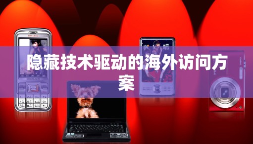 隐藏技术驱动的海外访问方案