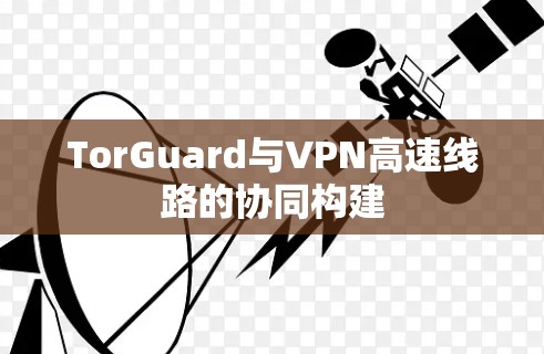 TorGuard与VPN高速线路的协同构建 TorGuard与VPN高速线路的协同构建