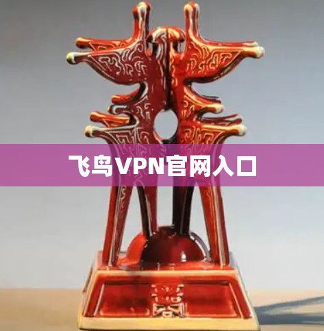 飞鸟VPN官网入口 飞鸟VPN官网入口