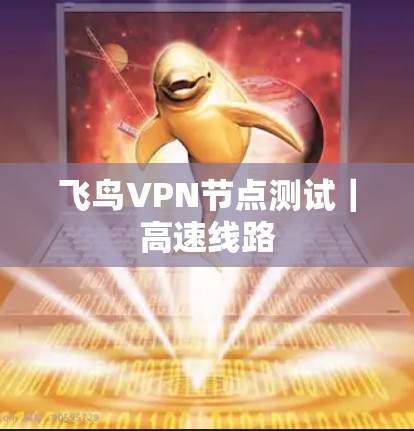 飞鸟VPN节点测试｜高速线路