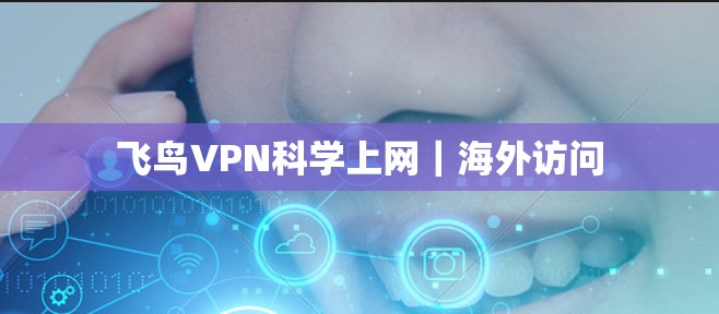 飞鸟VPN科学上网｜海外访问