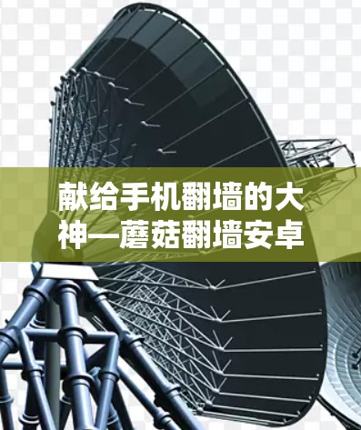 献给手机翻墙的大神—蘑菇翻墙安卓客户端教程