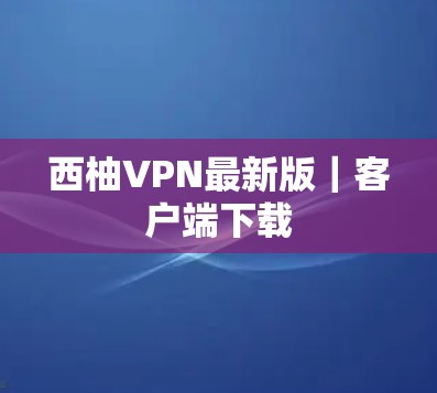 西柚VPN最新版|客户端下载