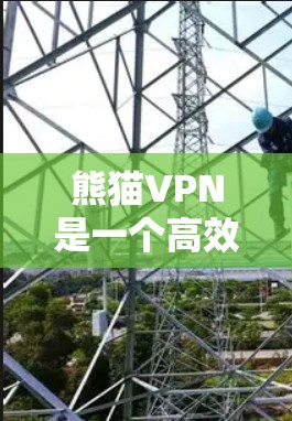 熊猫VPN是一个高效且安全的VPN工具，以其强大的加密功能、快速连接速度和多样化的访问方式而受到广泛欢迎。以下是对熊猫VPN的详细分析