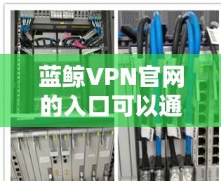 蓝鲸VPN官网的入口可以通过官网购买页面或移动应用访问。以下是详细的步骤指南