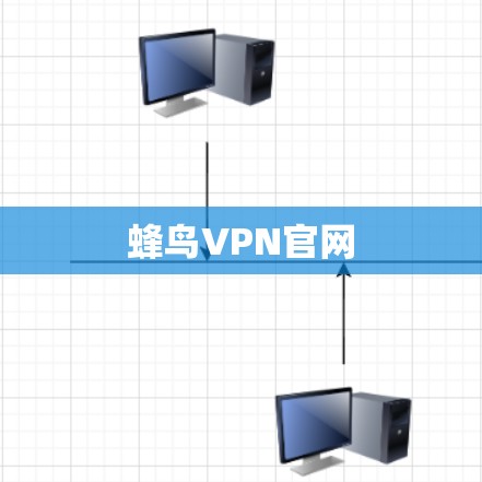 蜂鸟VPN官网 蜂鸟VPN官网