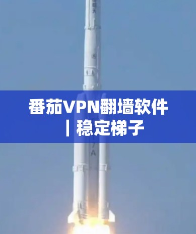 番茄VPN翻墙软件|稳定梯子 番茄VPN翻墙软件|稳定梯子