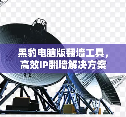 黑豹电脑版翻墙工具，高效IP翻墙解决方案