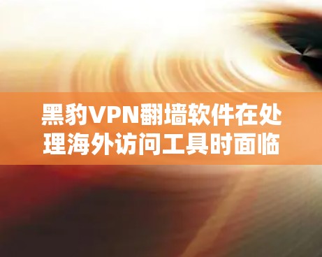 黑豹VPN翻墙软件在处理海外访问工具时面临的问题主要包括以下几点 黑豹VPN翻墙软件在处理海外访问工具时面临的问题主要包括以下几点