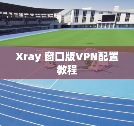 Xray 窗口版VPN配置教程